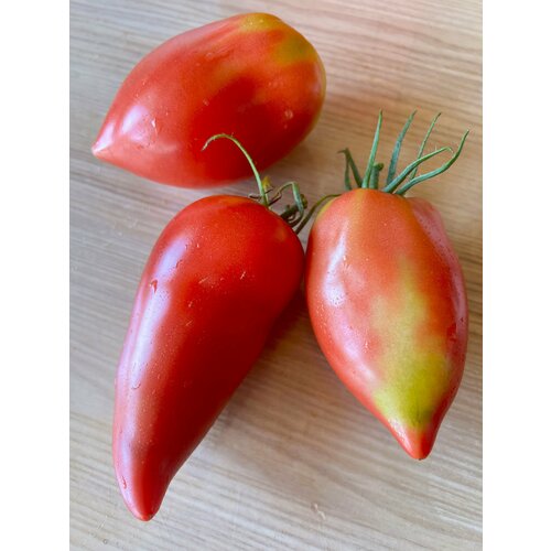 Томат Корейский длинноплодный, редкий сорт