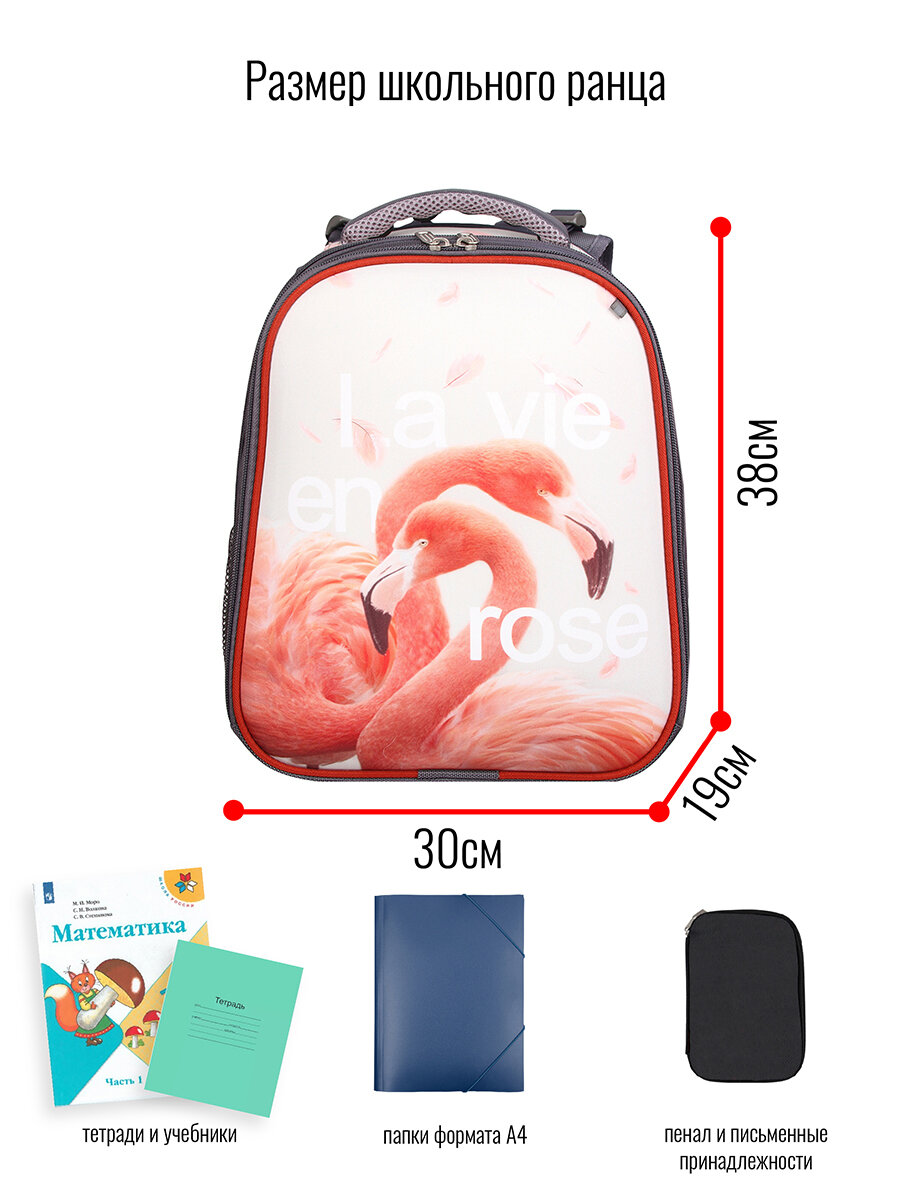 Ранец BagRio NP27/19 - фото №9