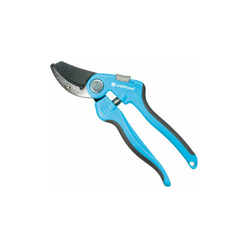 голубой, черный, бирюзовый, голубой