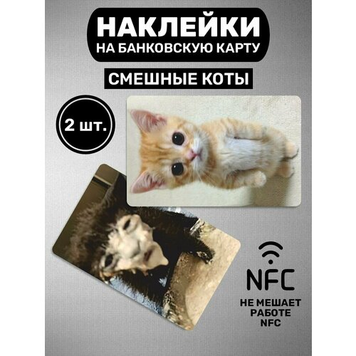 Наклейки на карту Смешные коты