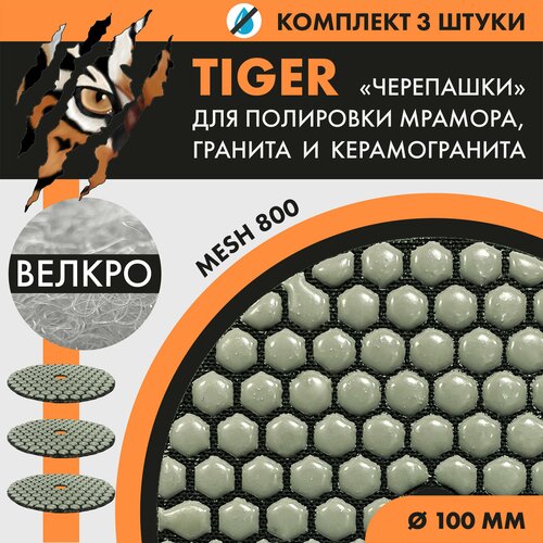 Набор шлифовальных кругов Tiger (без вод. охл.) №800(3 шт.)