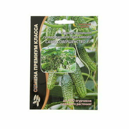 Семена Огурец Само совершенство F1 супербукетный тип, партенокарпический, 5 шт семена огурец само совершенство f1 супербукетный тип партенокарпический 5 шт в упаковке шт 1