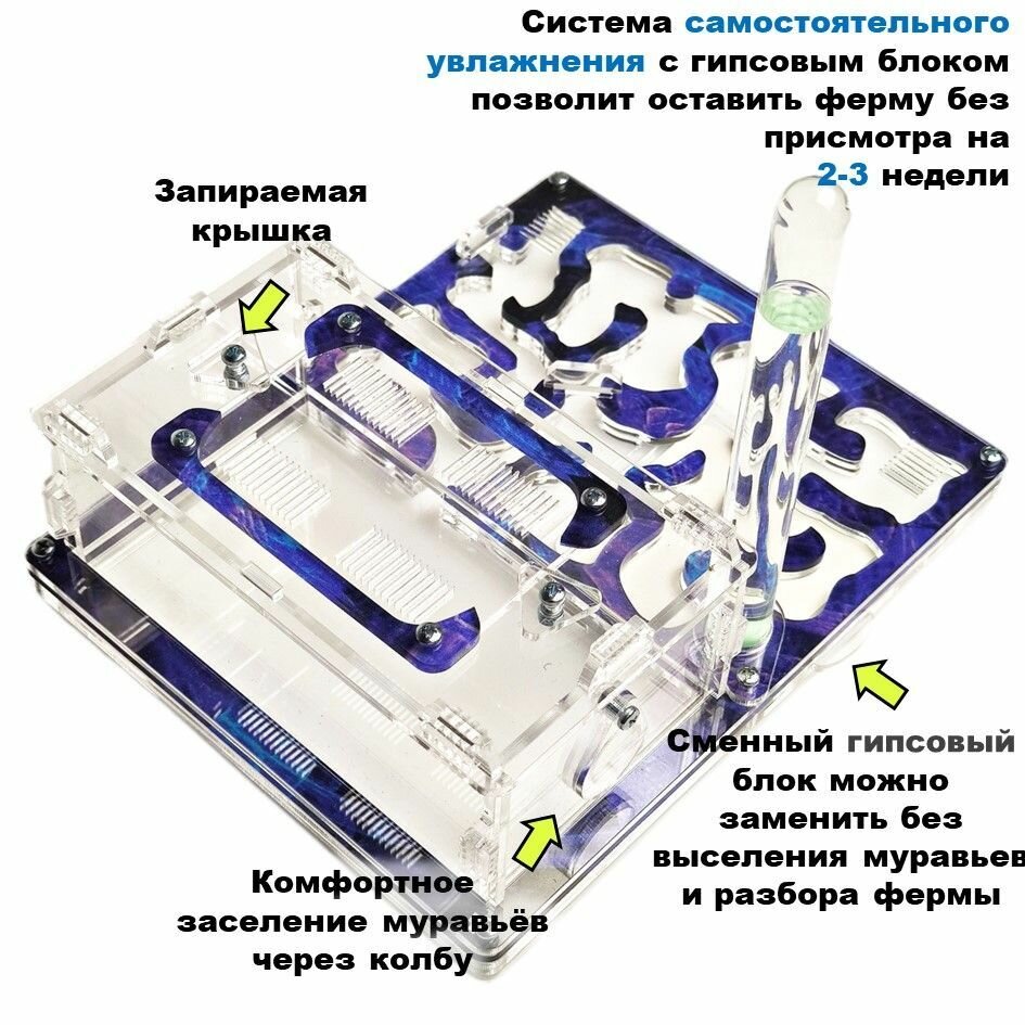 Средняя муравьиная ферма "Вихрь" 20x16 basic - фотография № 3