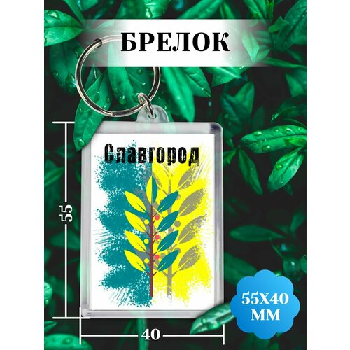 фото Брелок, белый филя флаги