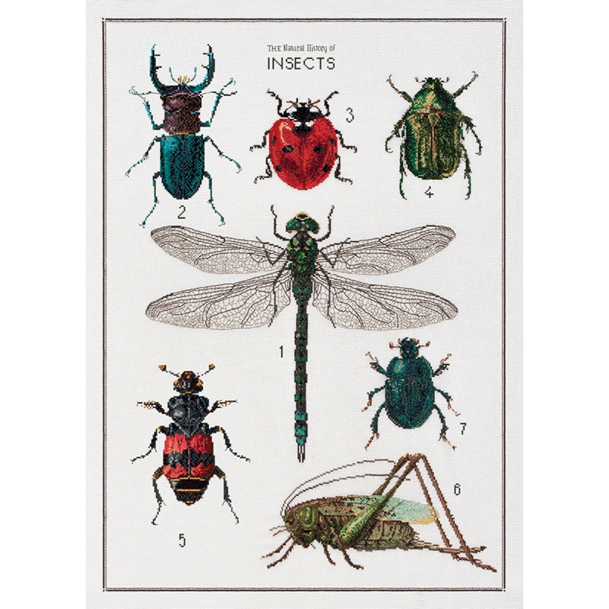 Набор для вышивания История насекомых, канва лён 32 ct 55 х 76 см THEA GOUVERNEUR 566