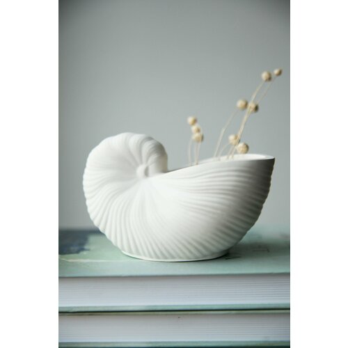 Ваза декоративная Ракушка для сухоцветов и искусственных 700₽