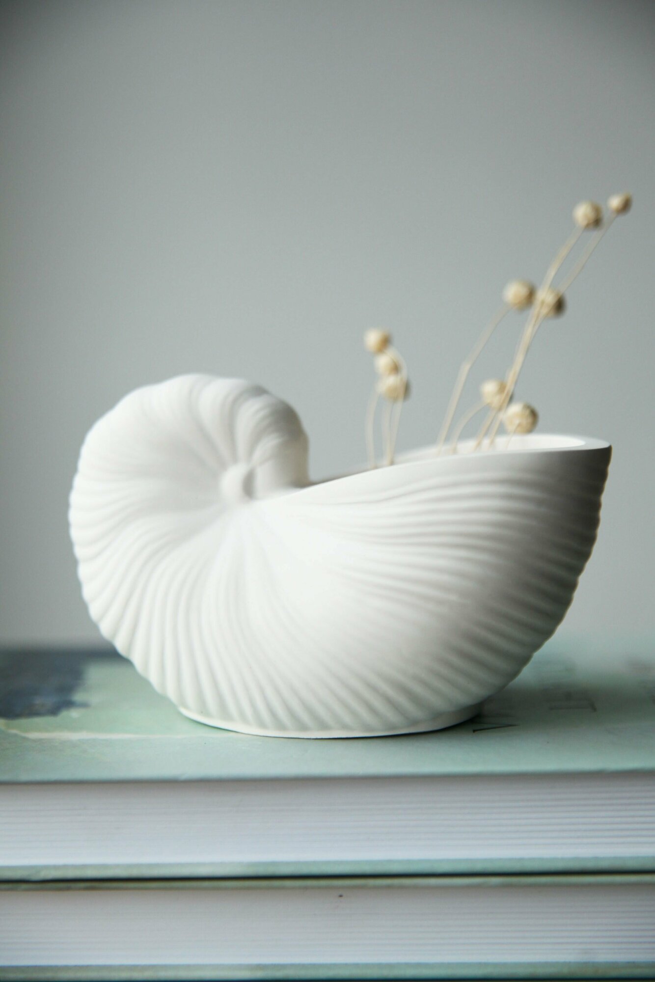 фото Ваза декоративная "Ракушка" для сухоцветов и искусственных