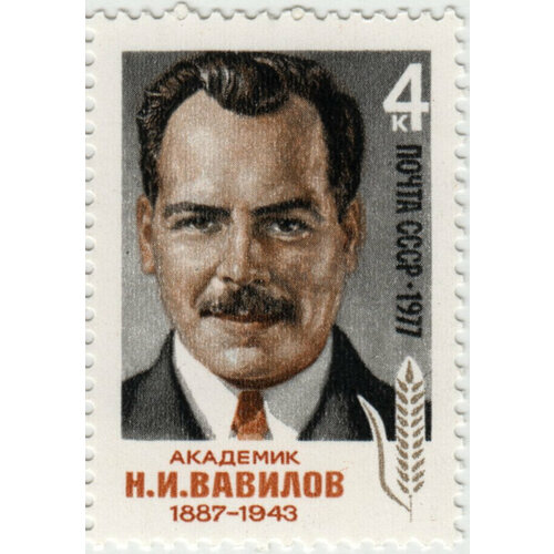 Марка Н. И. Вавилов. 1977 г. марка н и вавилов 1987 г поле