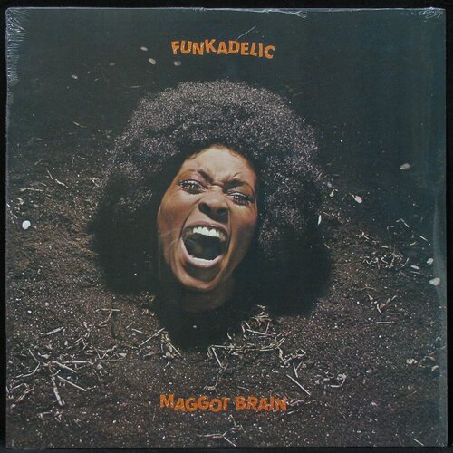 Виниловая пластинка Westbound Funkadelic – Maggot Brain