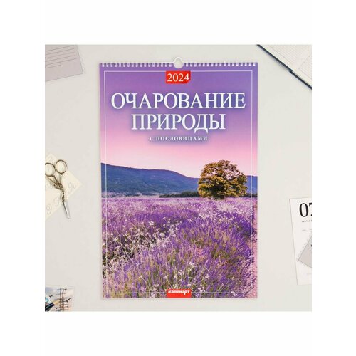 Календарь перекидной на ригеле Очарование природы 2024 год А