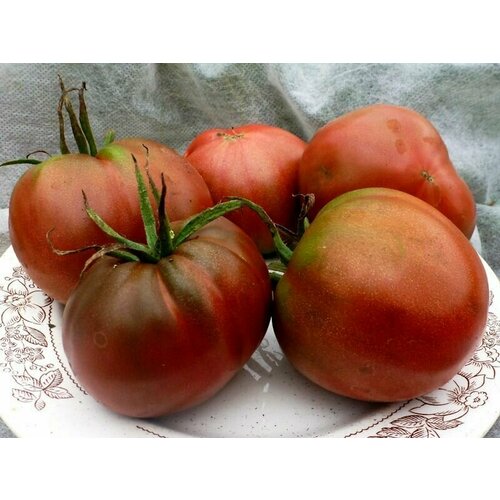 Коллекционные семена томата Черномор