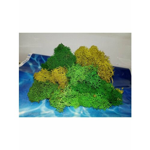 Стабилизированный мох 3 сорт ассорти 300 г