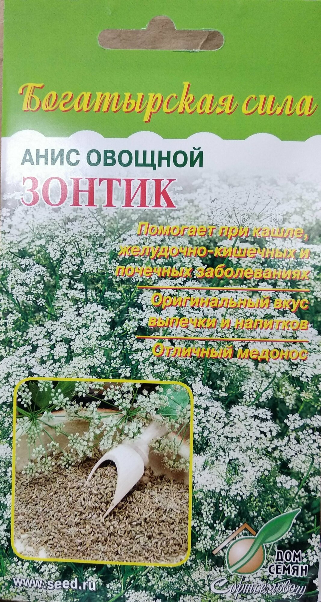 Анис Овощной Зонтик лекарственное холодостойкое растение помогает при кашле желудочно-кишечных и почечных заболеваниях отличный медонос 20 семян