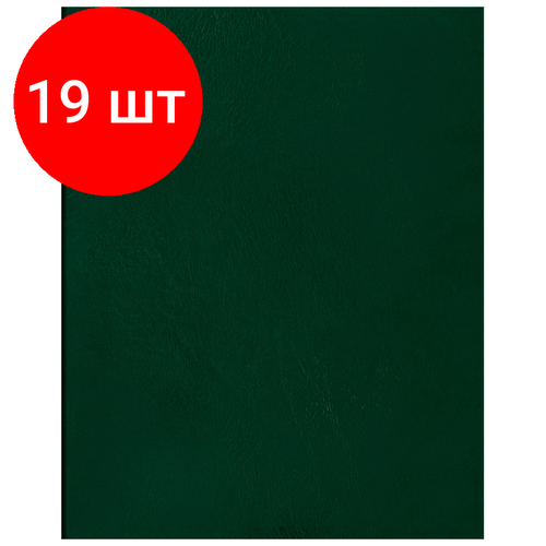 Комплект 19 шт, Тетрадь 96л, А5 клетка BG, бумвинил, зеленый, суперэконом тетрадь общая 96л а5 bg клетка бумвинил зеленый суперэконом т5бв96кэ 12334 50шт