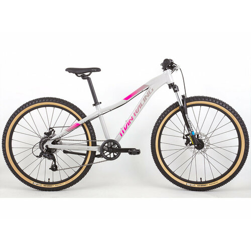 Купить Подростковый велосипед Titan Racing Calypso 26 Disc, год 2024 ...