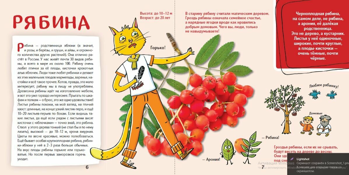 Кот Брюс и городские деревья (Егорова София Евгеньевна) - фото №3