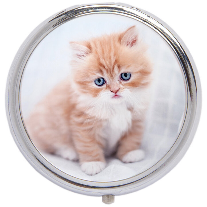 Таблетница котёнок