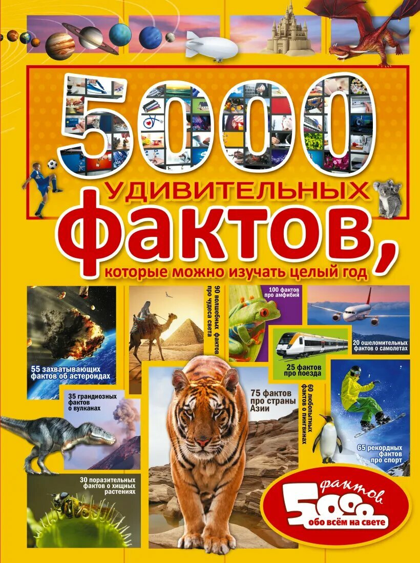 5000 удивительных фактов которые можно изучать целый год Энциклопедия Тараканова Марина 12+