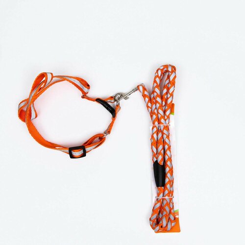 Комплект для собаки Пижон Плетенка флюорисцентный поводок 115 х 1 см и шлейка 32-48 см оранжевый