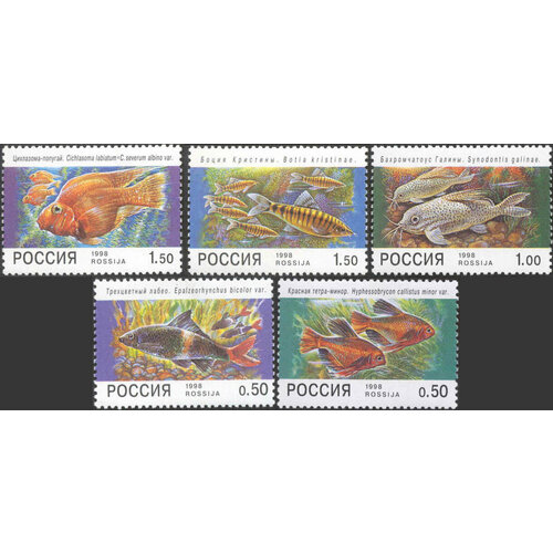Почтовые марки Россия 1998г. Фауна Аквариумные рыбы Животные, Фауна, Рыбы MNH почтовые марки куба 2015г аквариумные рыбы бойцовая рыбка рыбы mnh