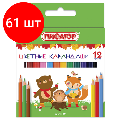 Комплект 61 шт, Карандаши цветные пифагор малыши-карандаши, 12 цветов, укороченные заточенные, 181344