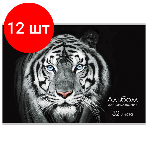 Комплект 12 шт, Альбом для рисования А4 32 л, скоба, обложка картон, BRAUBERG ЭКО, 202х285 мм, Тигр (1 вид), 105610