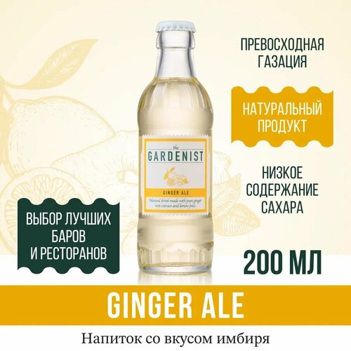 Газированный напиток THE GARDENIST Ginger Ale 20 шт, Россия