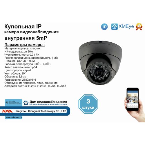 (3шт) DVS300IP5MP. Внутренняя IP камера 5мП с ИК до 20м.