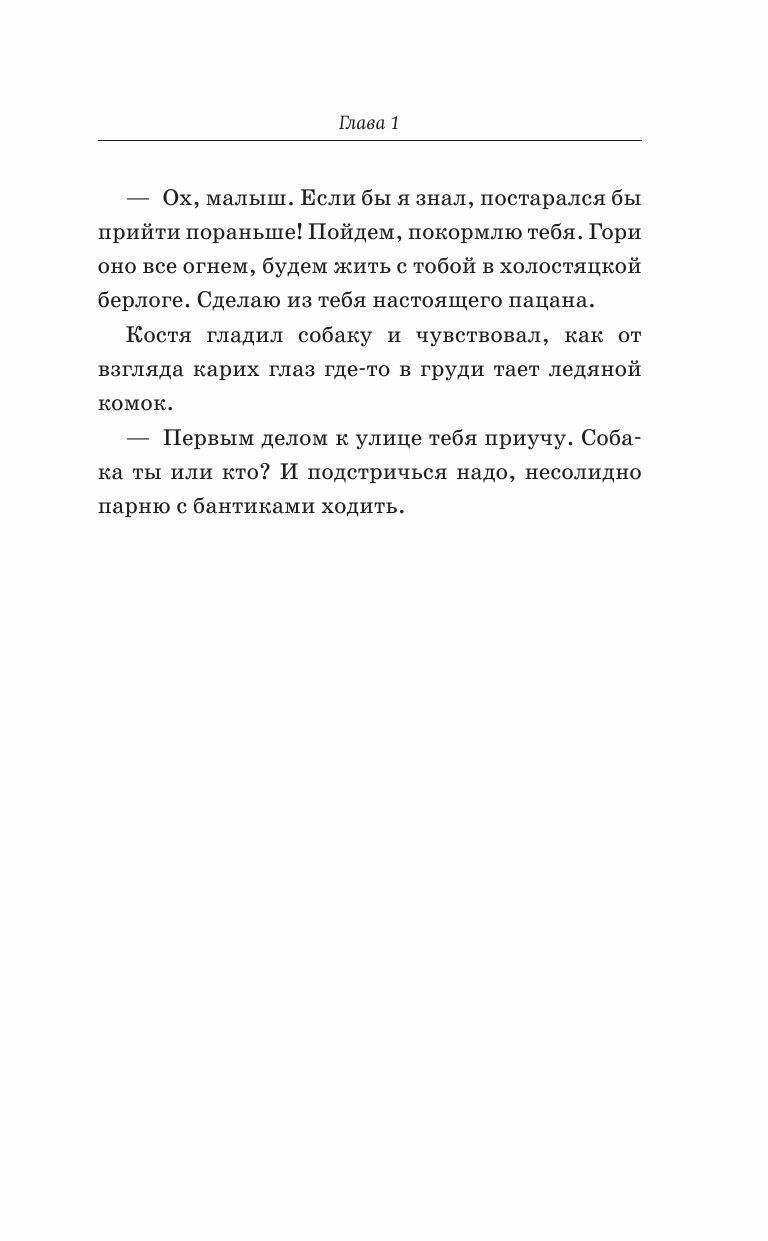 Хвосты удачи (Шильцова Ольга Сергеевна) - фото №8
