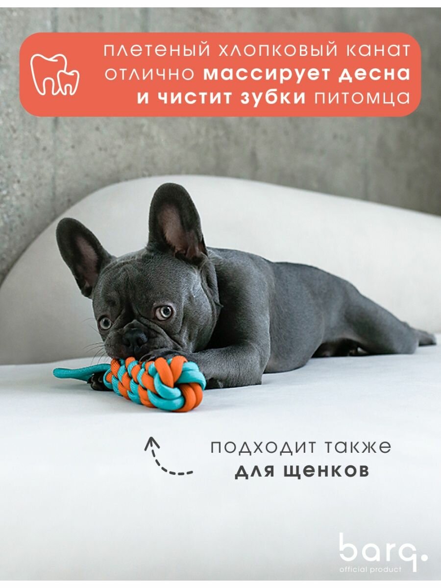 Жевательная игрушка для собак, мяч с кольцом для собак - фотография № 3