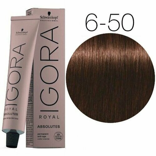 Schwarzkopf Professional Igora Royal Absolutes 6-50 Темный русый золотистый натуральный 60 мл / Профессиональная краска для волос Шварцкопф Профессионал Игора Роял Абсолют