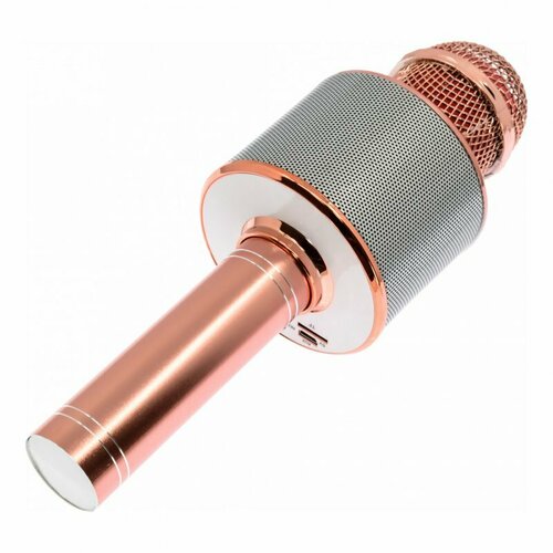 Микрофон-колонка WS-858-1 Bluetooth розовое золото 101000₽