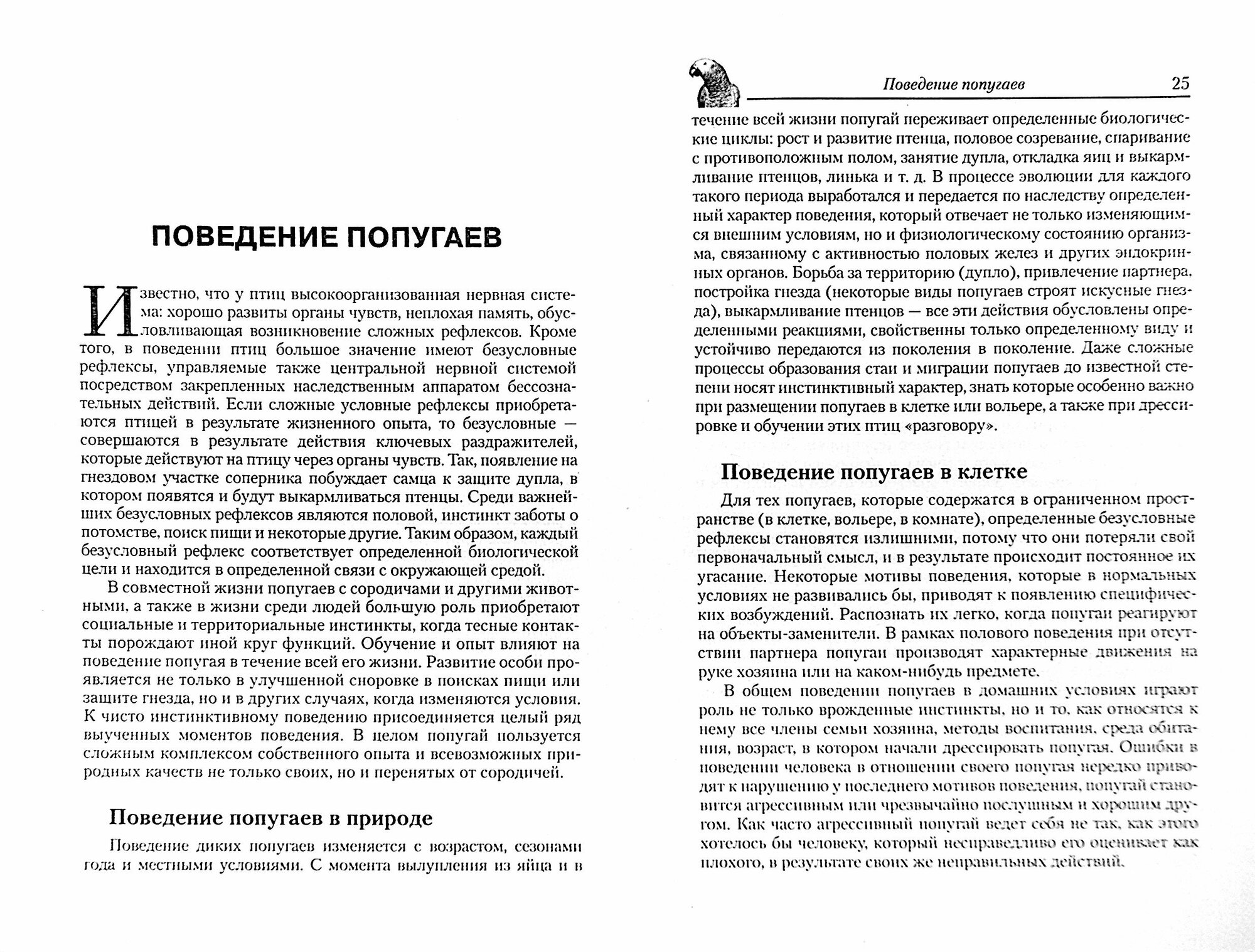 Обучение попугаев разговору Обзор видов Поведение Методы дрессировки - фото №2