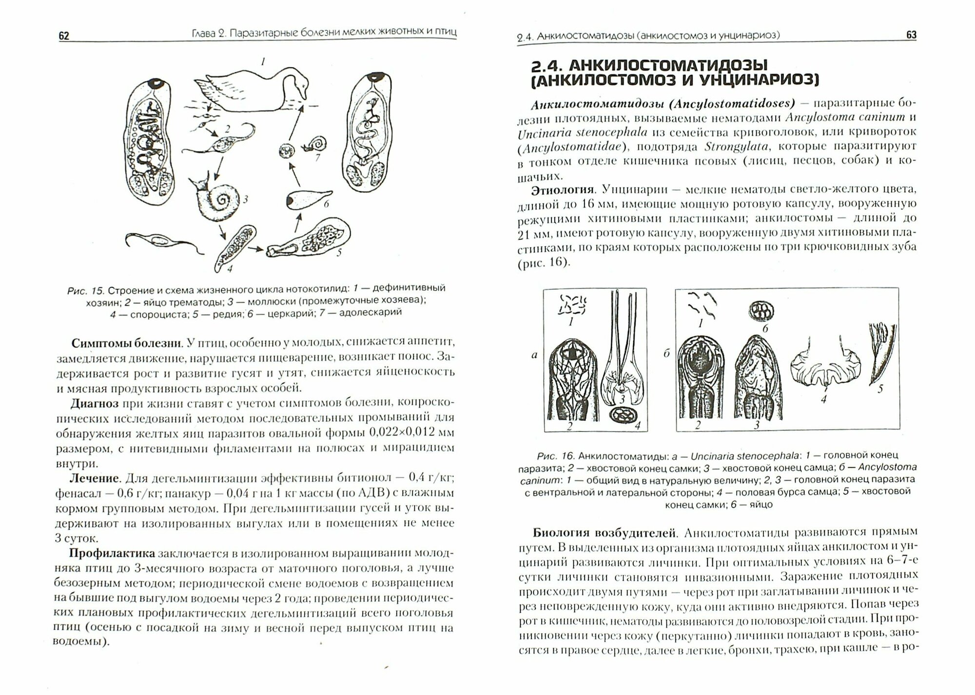 Болезни мелких животных и птиц. Учебное пособие - фото №2