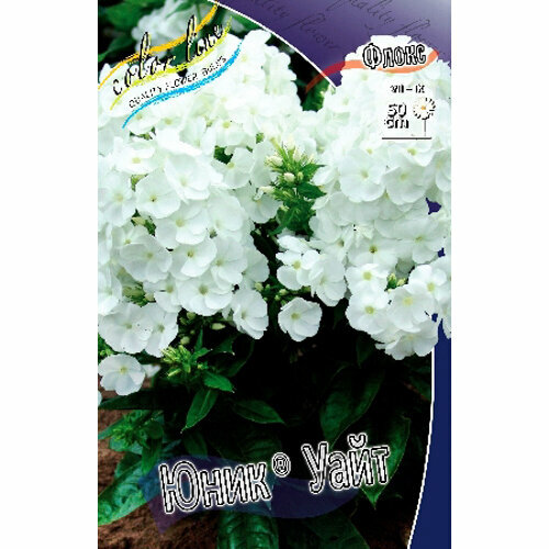 Флокс метельчатый Younique White 1 шт 514₽