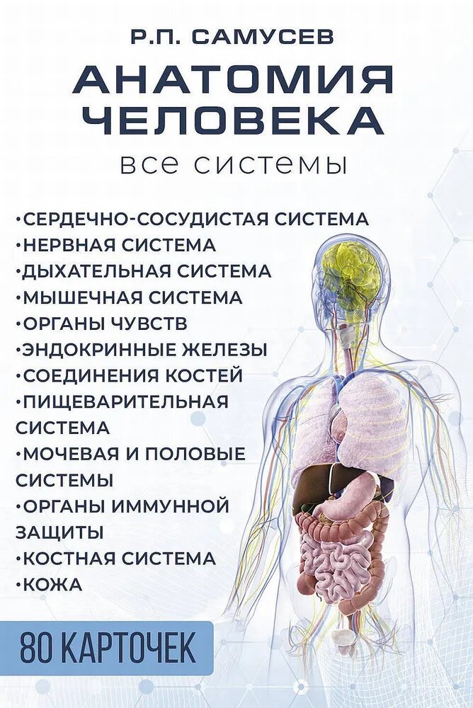 Самусев Р. П. Анатомия человека. 80 карточек. Все системы