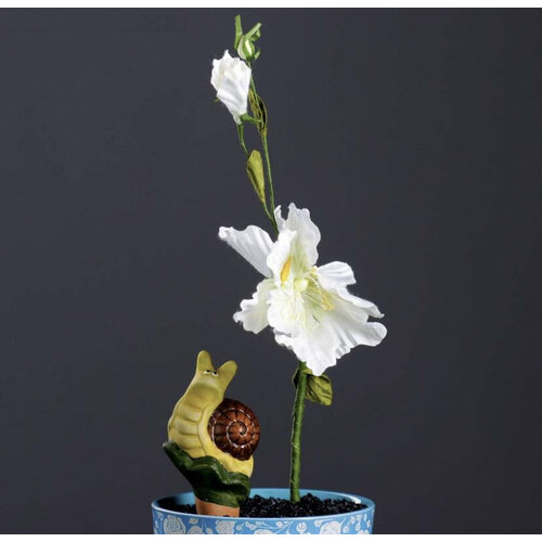 12 штук оросителей для домашних растений 