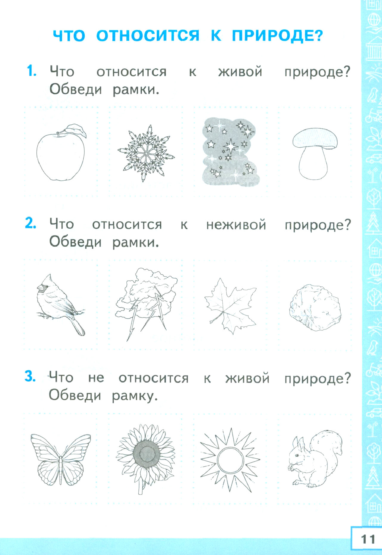 Окружающий мир. 1 класс. Тренажёр. К учебнику А. А. Плешакова. ФГОС - фото №7