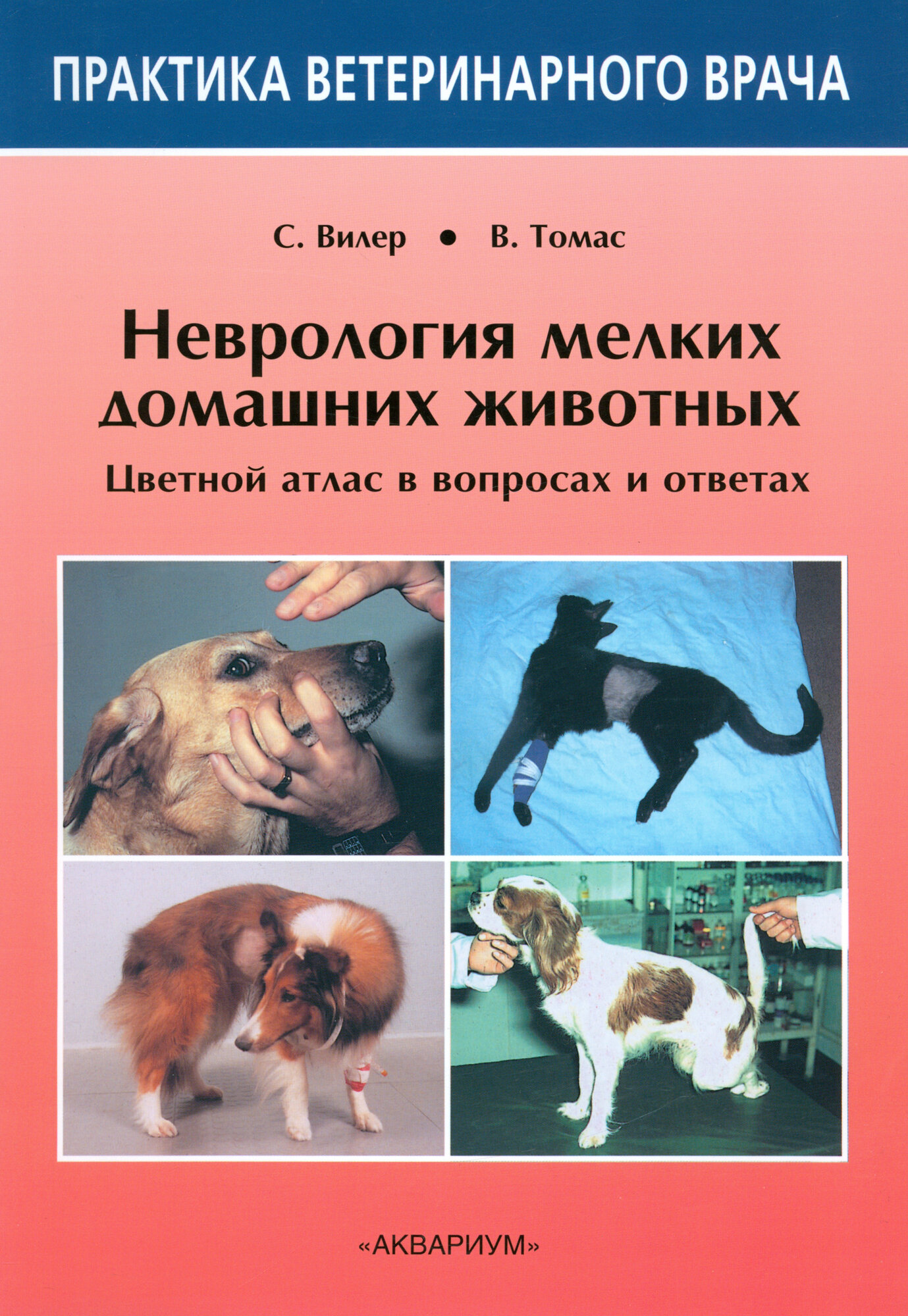 Неврология мелких домашних животных. Цветной атлас в вопросах и ответах - фото №2