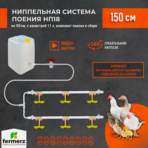 Изображение товара Двойная ниппельная система поения НП18 150 см с канистрой 10л, Для бройлеров кур перепелов цыплят индейки для брудера
