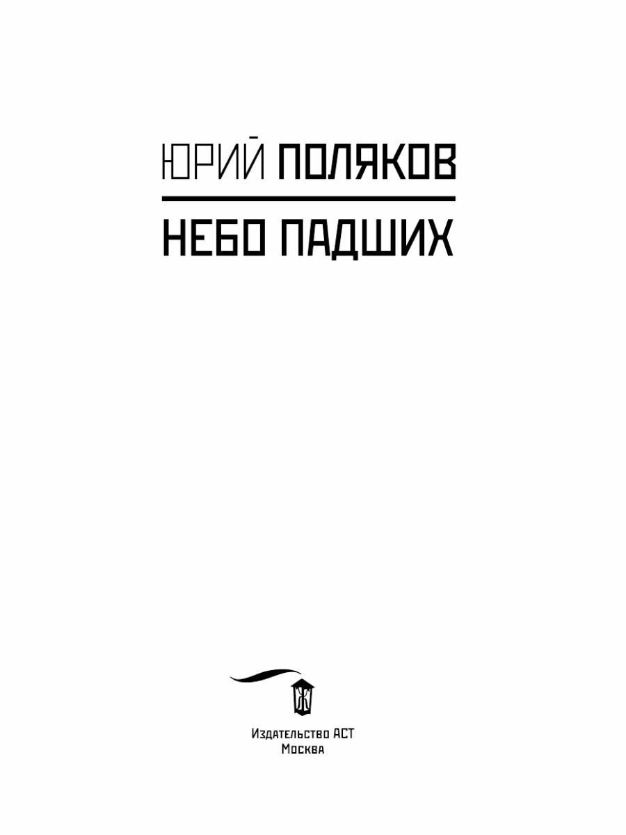 Небо падших (Поляков Юрий Михайлович) - фото №10