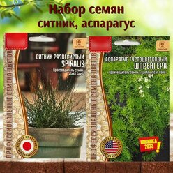 Семена растений для дома и сада Аспарагус и Ситник набор 2 уп.