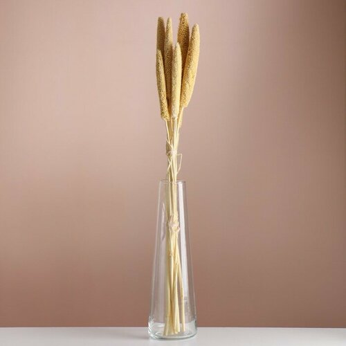 Набор сухоцветов Африканское просо банч 3-5 шт длина 60 - 6 см выбеленный 820₽