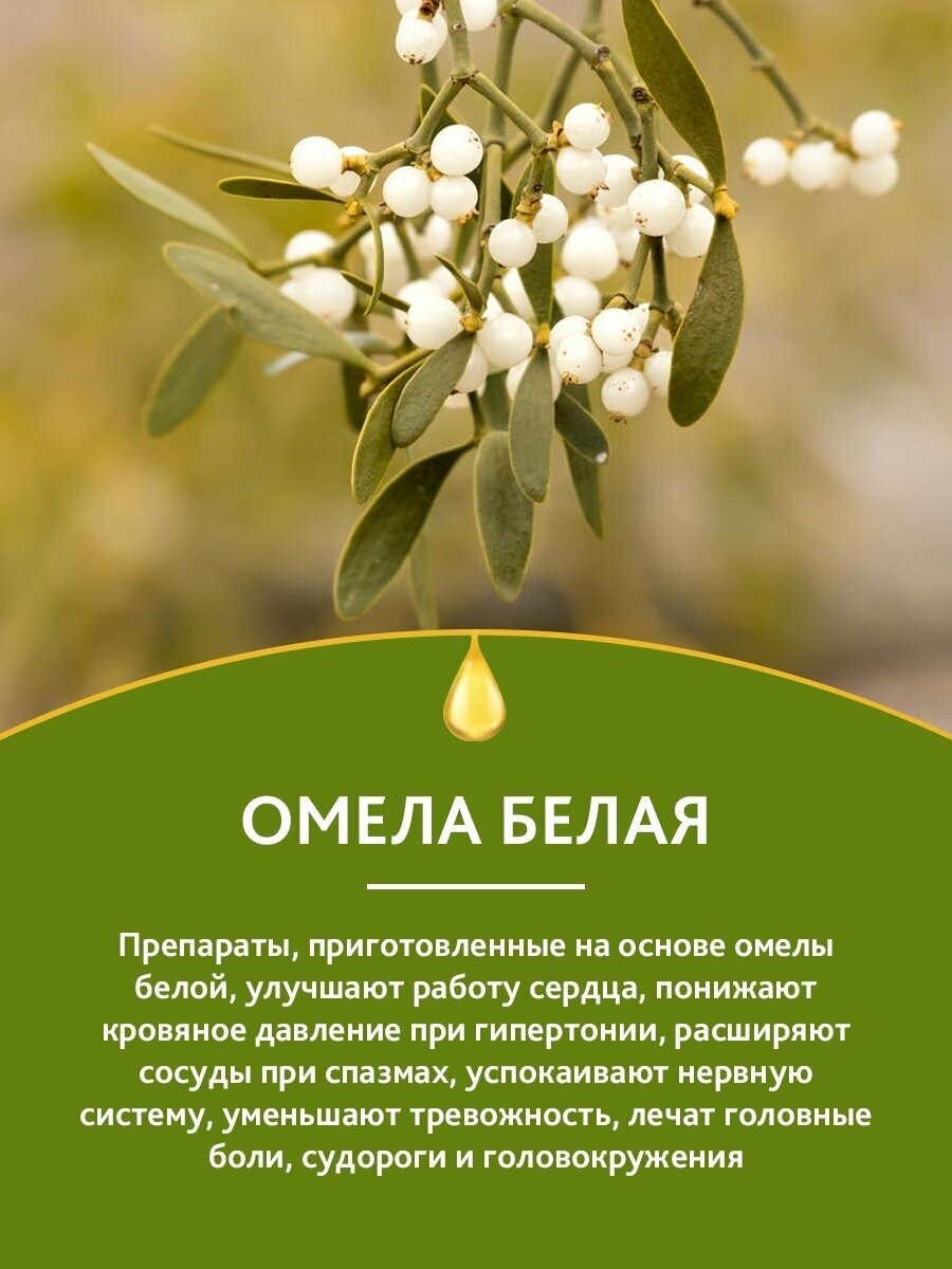 Препараты При Онкологии Специального Применения Омела белая (настойка) при повышенном давлении / варикозе / для заживления язв / рака молочной железы