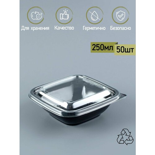 Контейнеры одноразовые пластиковые пищевые с крышками 250 мл. 50 шт. ПЭТ для хранения холодных продуктов заморозки