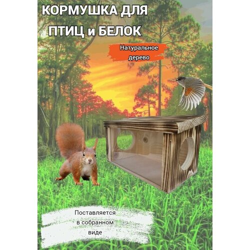 Кормушка для белок и птиц Petrov Home из натурального дерева
