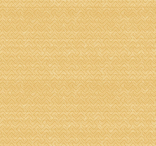 Обои York Carlisle Company Soleil OL5489 C; 068x820 м.