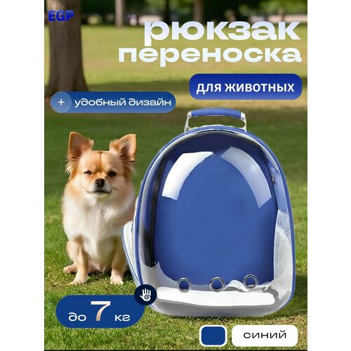Переноска рюкзак для животных мелких пород синий с прозрачной дверцей