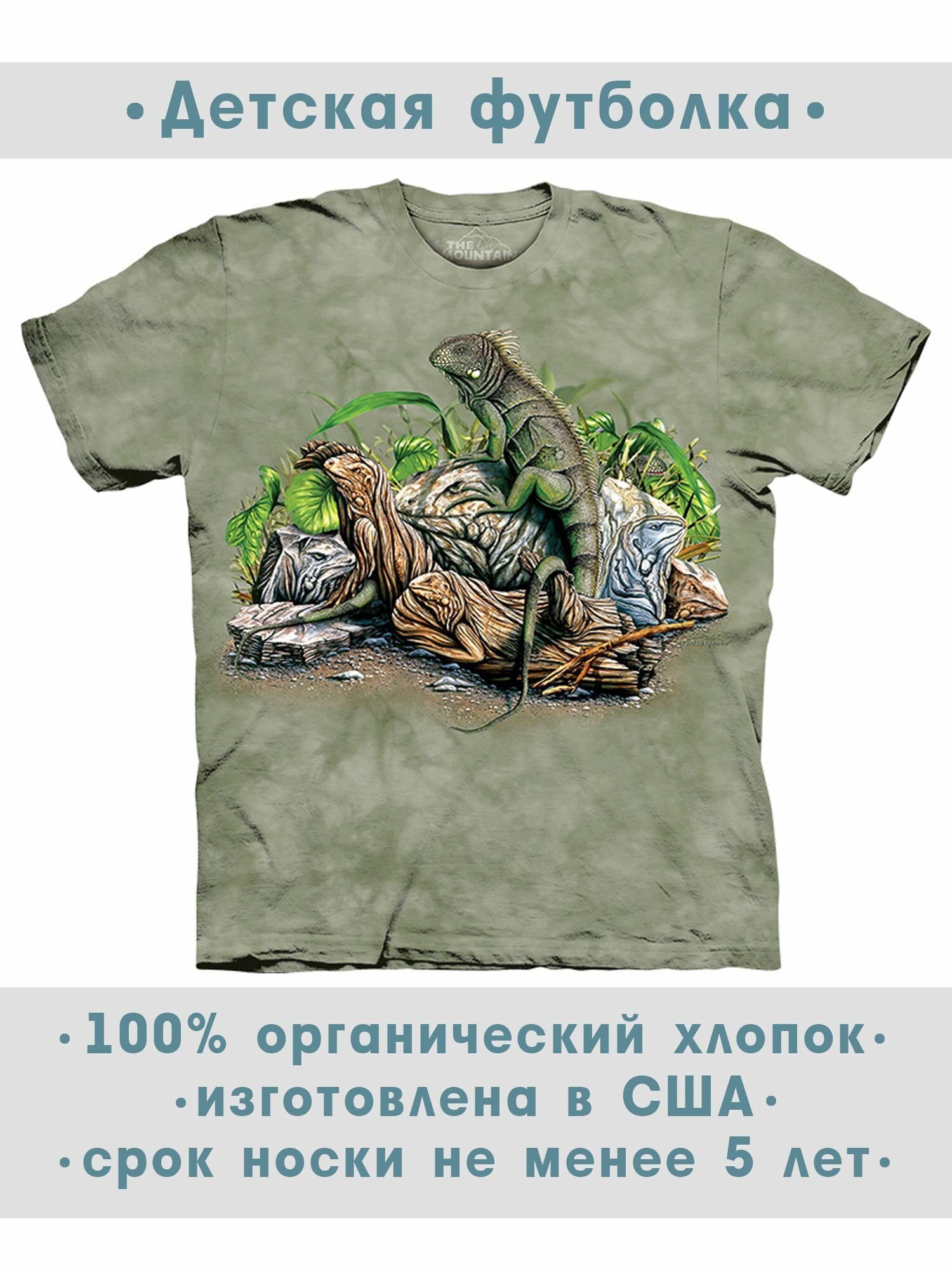 Футболка детская The Mountain "Find 10 Iguanas"