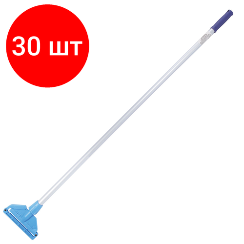  30 ,        ,   118 , LAIMA PROFESSIONAL, 601507